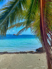 Palms Beach