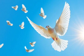 Obraz premium White doves flying under bright blue sky.