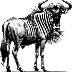 Wildebeest line art isolated on white