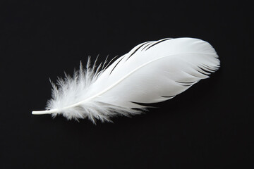 Obraz premium A delicate white feather resting on a dark background, showcasing its intricate details and soft texture, perfect for artistic or nature-themed projects.