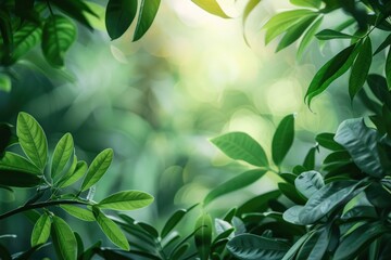 Lush Green Leaves Forest Nature Photography Natural Environment Close-Up Serenity