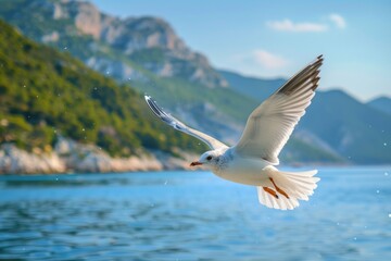 Seagull Flying Over Clear Blue Water Coastal Landscape Nature Photography Serenity