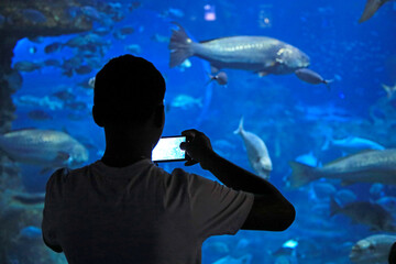 joven mirando los peces haciendo fotografias con el movil en el aquarium de donostia san sebastian 4M0A4872-as25 © txakel