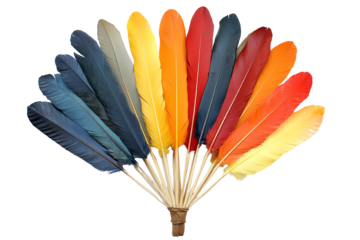 A vibrant array of colorful feathers arranged in a fan shape, showcasing a spectrum of hues from blue to yellow, against a white background.