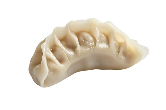 Delicious dumpling on a white isolated background, showcasing its tender texture and intricate folds, perfect for culinary presentations and references.
