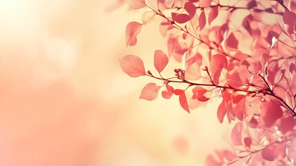 Fototapeta premium Delicate Coral Leaves Bask in Gentle Sunlight