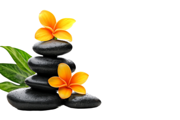 Serene arrangement of smooth black stones adorned with vibrant yellow flowers and green leaves, symbolizing tranquility and natural beauty.
