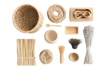 Various natural craft materials arranged neatly on a bright background, ideal for DIY projects and artistic creations.