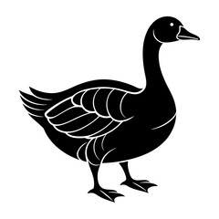 Goose Silhouette vector illustration