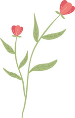 wild floral illustration