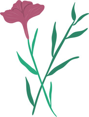 wild floral illustration