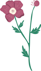 wild floral illustration