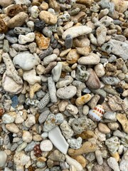 Close-up of colorful pebbles and coral fragments on a beach.stone texture