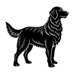 Golden Retriever Silhouette vector illustration