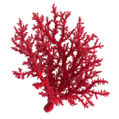 Fototapete Rund Vivid Red Coral Branch Stunning Ocean Beauty Intricate Underwater Life © xadartstudio
