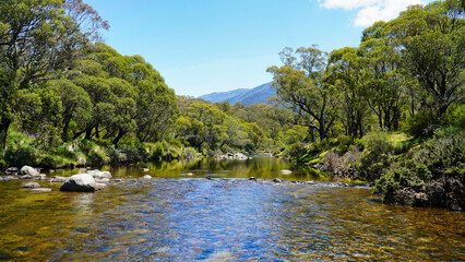 Jindabyne, New South Wales Australia.Serene river flowing through lush greenery under a clear blue sky in a tranquil nature setting