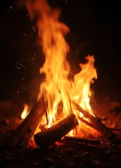 Fiery Night Bonfire: Embers Glowing in the Dark