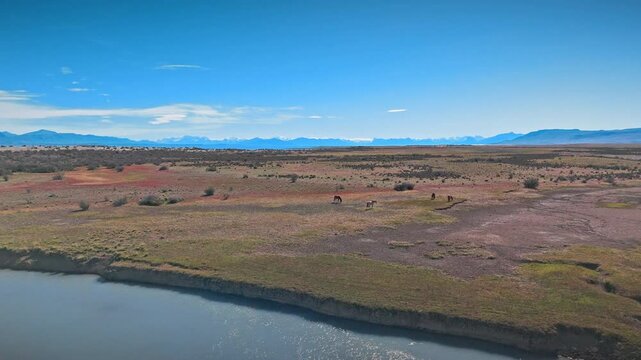 Andean Lake and Horses. A symphony of tranquillity, where nature's grandeur meets the gentle grace of these majestic animals. 09.01.2025