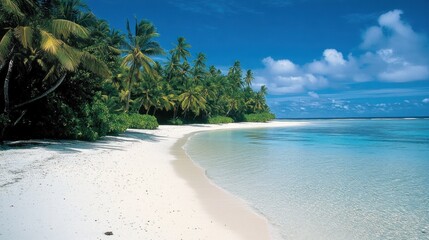 Tropical Paradise: Idyllic Beach with Crystal-Clear Water and Lush Palm Trees