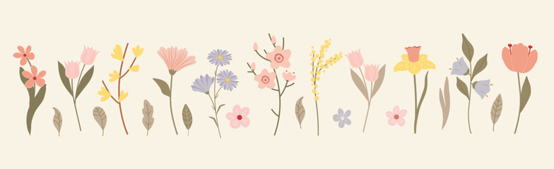 Collection of flowers and leaves. A vector set of elements for decorating spring, Easter, Mother's Day and March 8th. Spring flowers in soft pastel colors. Set of floral elements
