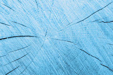 Light blue wooden background. Background for banner