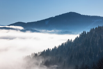 Snowy winter landscape in a misty sunny morning. The Orava region in north of Slovakia, Europe.