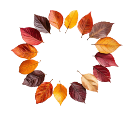 Autumn leaf wreath in vibrant red, orange, and yellow colors, circular fall foliage arrangement for seasonal decoration isolated on transparent background