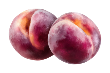 Fresh peaches showcasing their soft texture and vibrant color contrasting with the emptiness around them. Isolated on transparent background, png.
