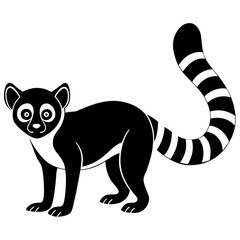 black and white lemur