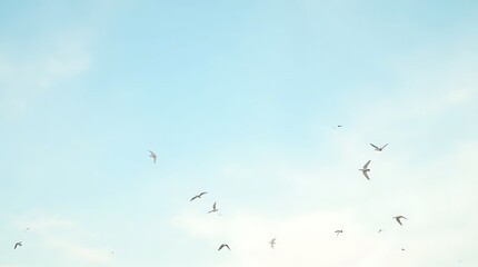 Obraz premium Peaceful Flight: A Serene Sky Filled with Birds