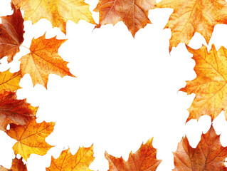 Autumn maple leaves border with vibrant orange, red, and yellow foliage, seasonal frame for fall-themed design, nature background isolated on transparent background