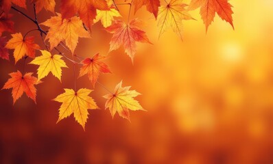 Vibrant autumn leaves on a warm background