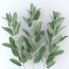 Fresh Green Sage Leaves Arrangement on Light Background for Culinary and Natural Wellness Use
