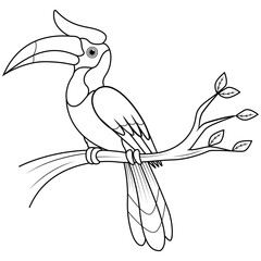 Cartoon hornbill on the branch line art