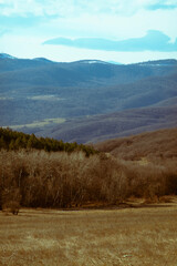 Winter mountain valley with meadow and leafless forest against hazy mountains and cloudy sky