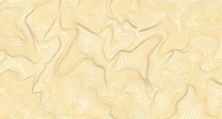 Topographic Contour Map with Geographic Grid - Abstract Terrain Background