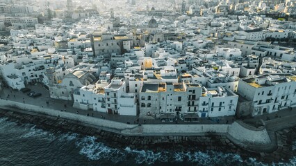 Aerial View of Coastal Town: A stunning aerial view of a picturesque coastal town, showcasing the charming whitewashed houses and the azure sea in the background.Monopoli, Puglia, Italia. Adriatic sea