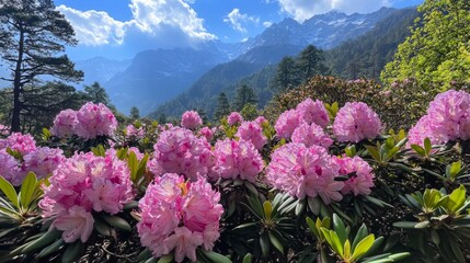 Pink Rhododendrons Against a Mountain Background