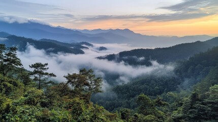 Misty Mountain Sunrise Landscape