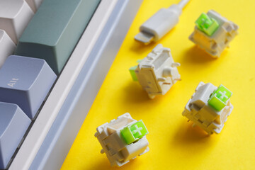 Mechanical switches for a modern computer keyboard next to the keyboard. Repair, crafting and...