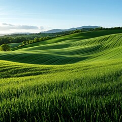 Lush green hills under a clear blue sky.