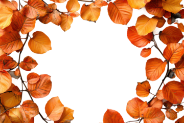 Autumn maple leaves border with vibrant orange, red, and yellow foliage, seasonal frame for fall-themed design, nature background isolated on transparent background