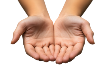 Pair of open cupped hands with soft skin and natural texture, asking or offering gesture, symbolic concept of giving isolated on transparent background