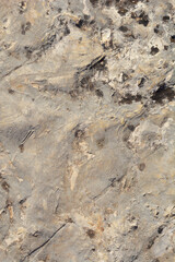 Detail of a stone surface on a sunny day