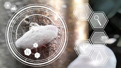 Close up view of brown mushroom growing on field overlaid with hexagonal digital graphics and icons...