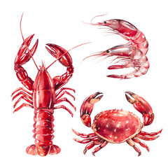 Set of crustacean sea animals, shrimp, lobster, crab watercolor illustration isolated on white