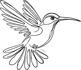 Hummingbird Beauty Captured in Line Art. Flying Bird Vector Illustration