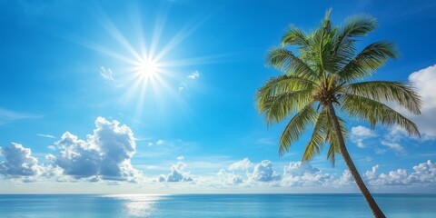 Obraz premium Palm tree basking in the sunlight, set against a vibrant blue sky and serene blue ocean, creating a perfect tropical scene with the beauty of a palm tree prominently featured.
