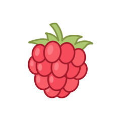 Raspberry icon. Simple filled outline style. Berry, pictogram, ripe, pink, sweet, delicious, food, nature, vegetarian concept. Vector design illustration isolated. SVG