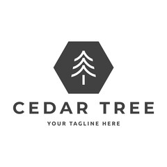 Cedar pine tree logo nature organic environment icon symbol illustration
